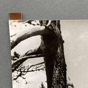 Photographie argentique Bernard Darot Les Vaincus XXe AFIAP