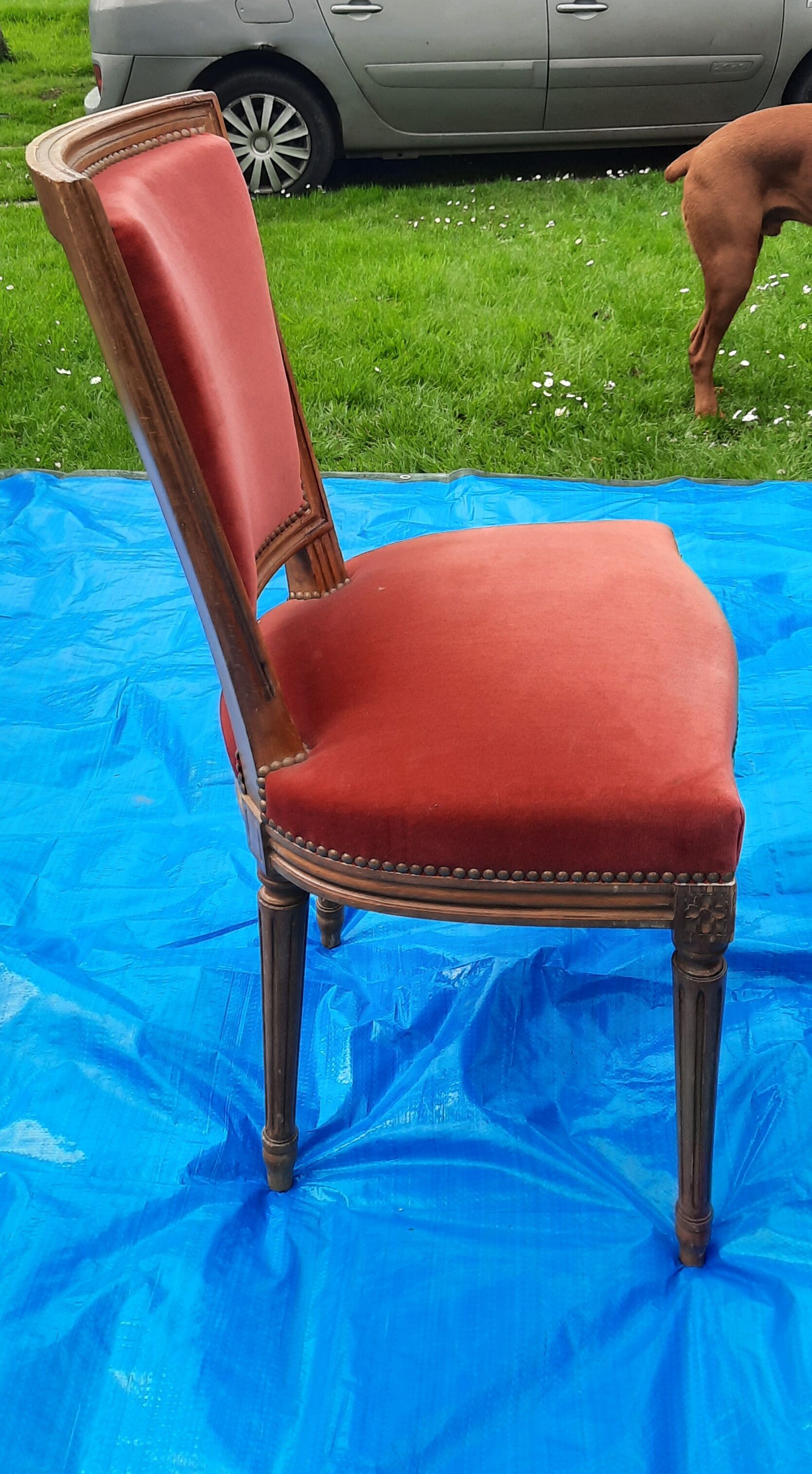 Chaise de style Louis XVI