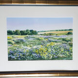 Framed watercolor - Flowery landscape