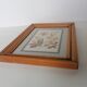 Tableau herbier authentique