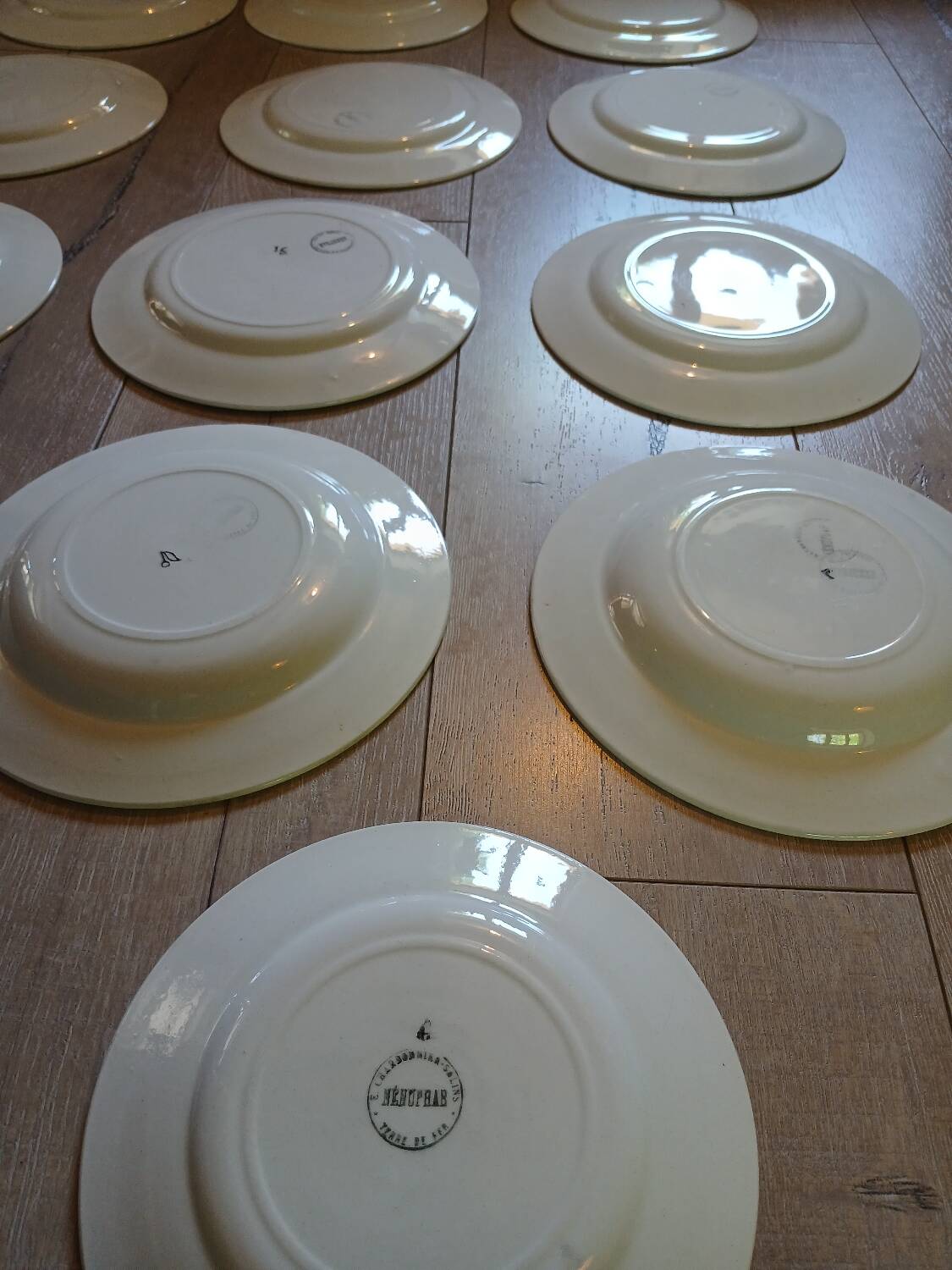 14 Terre de fer SALINS "Water Lily" plates