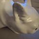 Chat porcelain Wiener Kunstkeramische Werkstätte 1900s