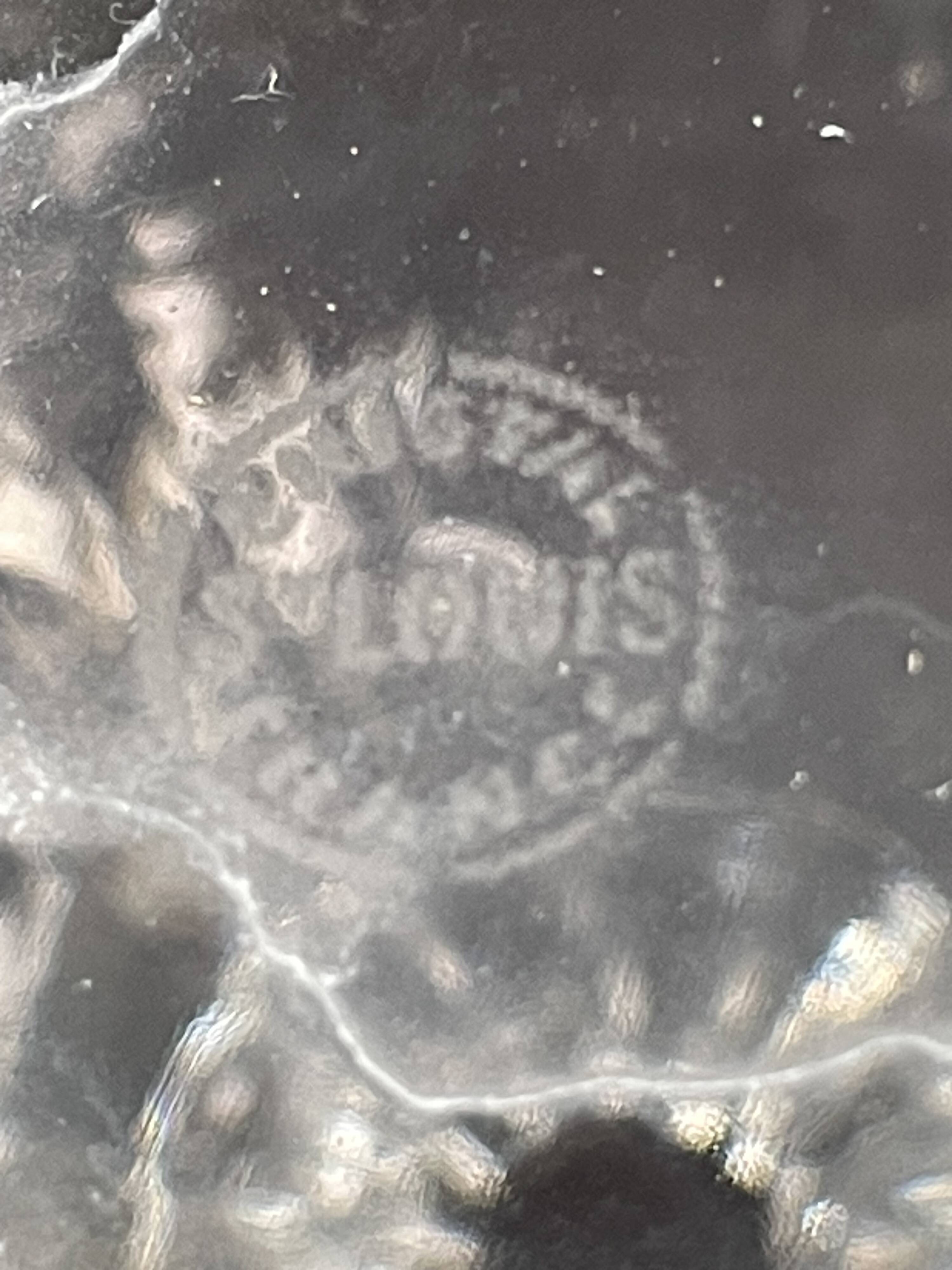 Saint Louis decanter Marine service