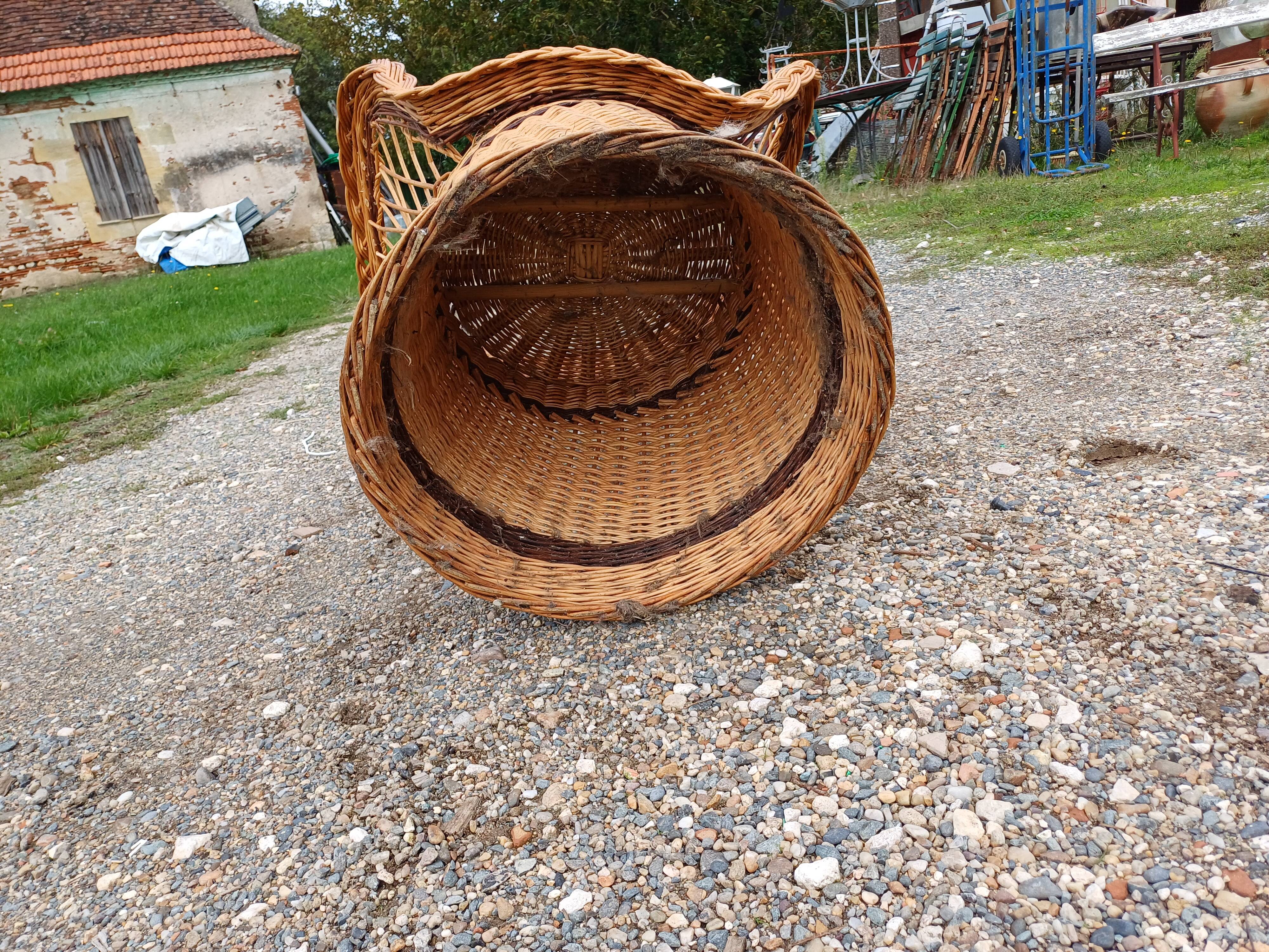 Emmanuelle wicker armchair