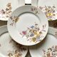 Floral porcelain dessert plates x14