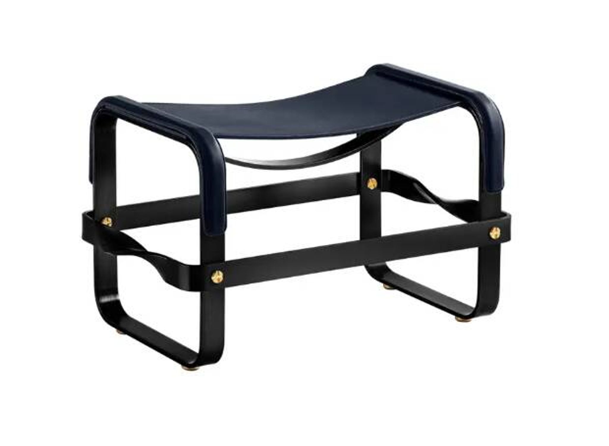 Blue Wanderlust footrest pair with black steel.