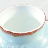 Vase in opaline opaline glass hand painted flower decoration