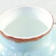 Vase in opaline opaline glass hand painted flower decoration