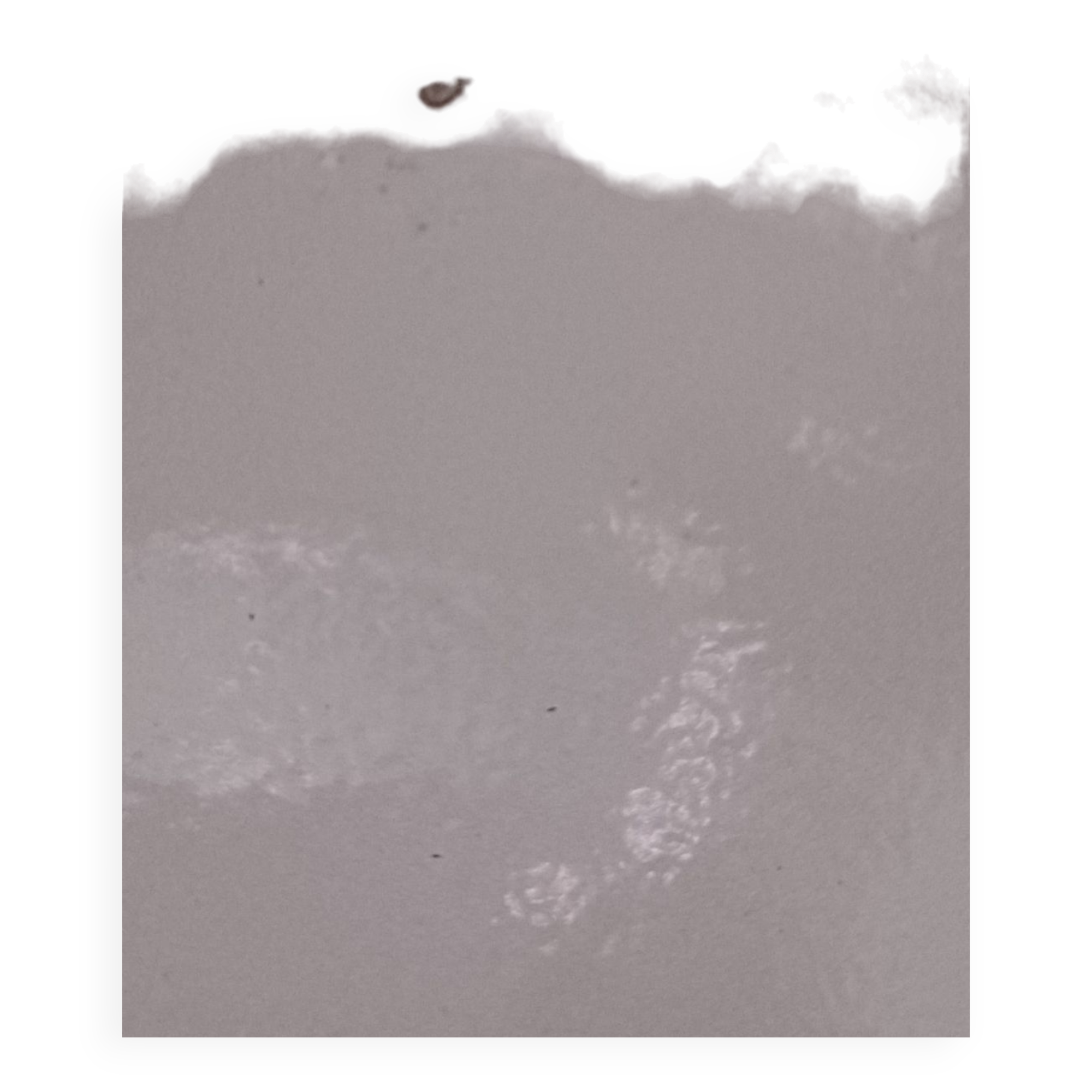 Cast iron pan Le Creuset