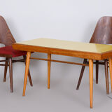 Oak MidCentury Coffee Table, Well-Preserved Condition, Czechia, 1950s