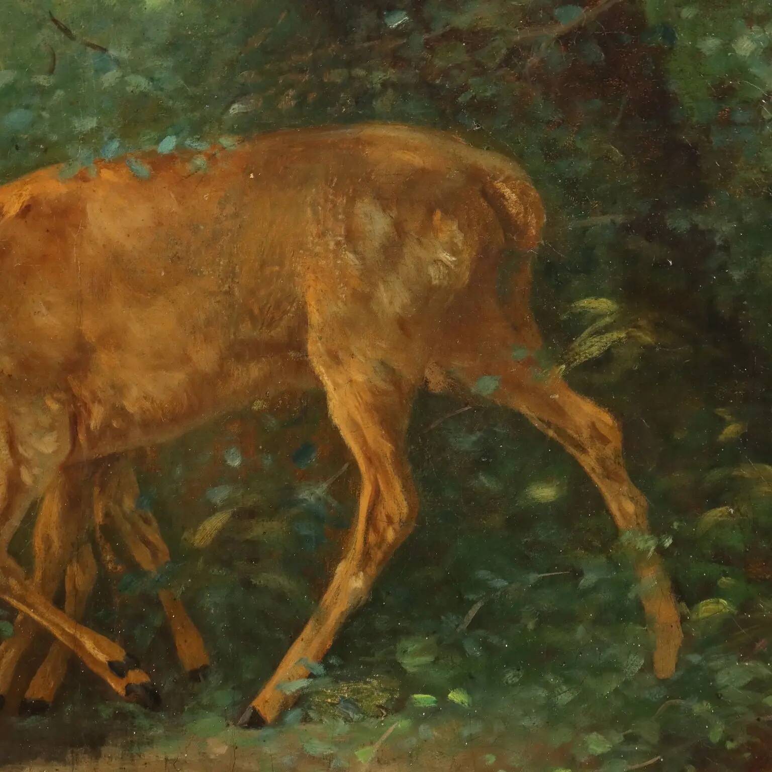 Old painting "Deer in the Woods" oil on canvas France 19th century