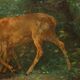 Old painting "Deer in the Woods" oil on canvas France 19th century