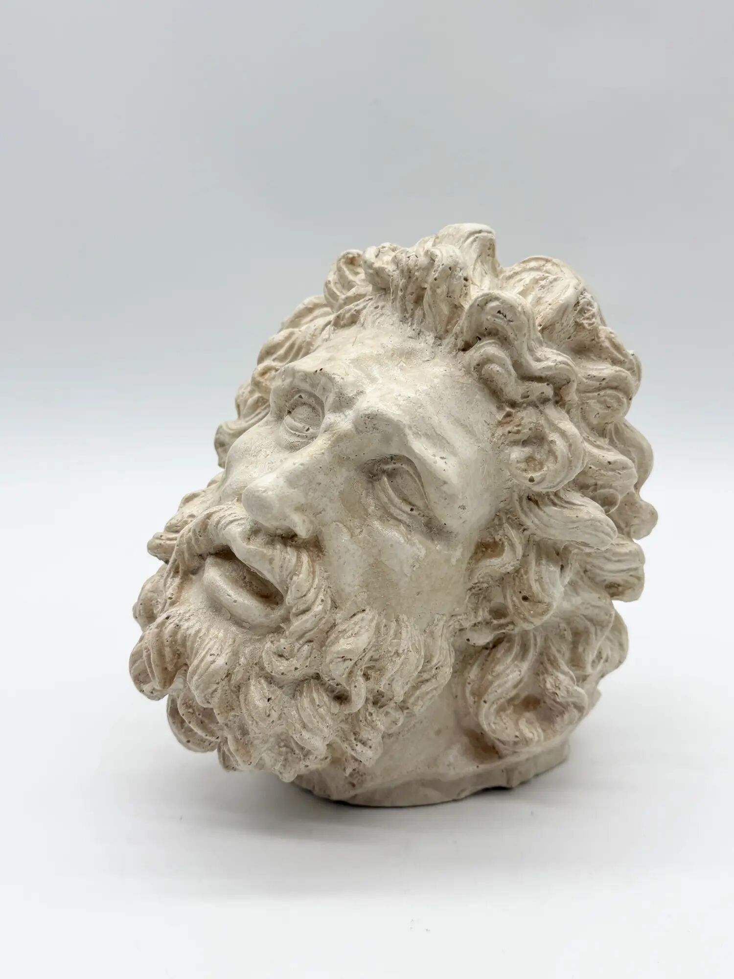 "Head of Laocoön" in plaster, contemporary reproduction, 20th century
