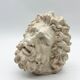 "Head of Laocoön" in plaster, contemporary reproduction, 20th century