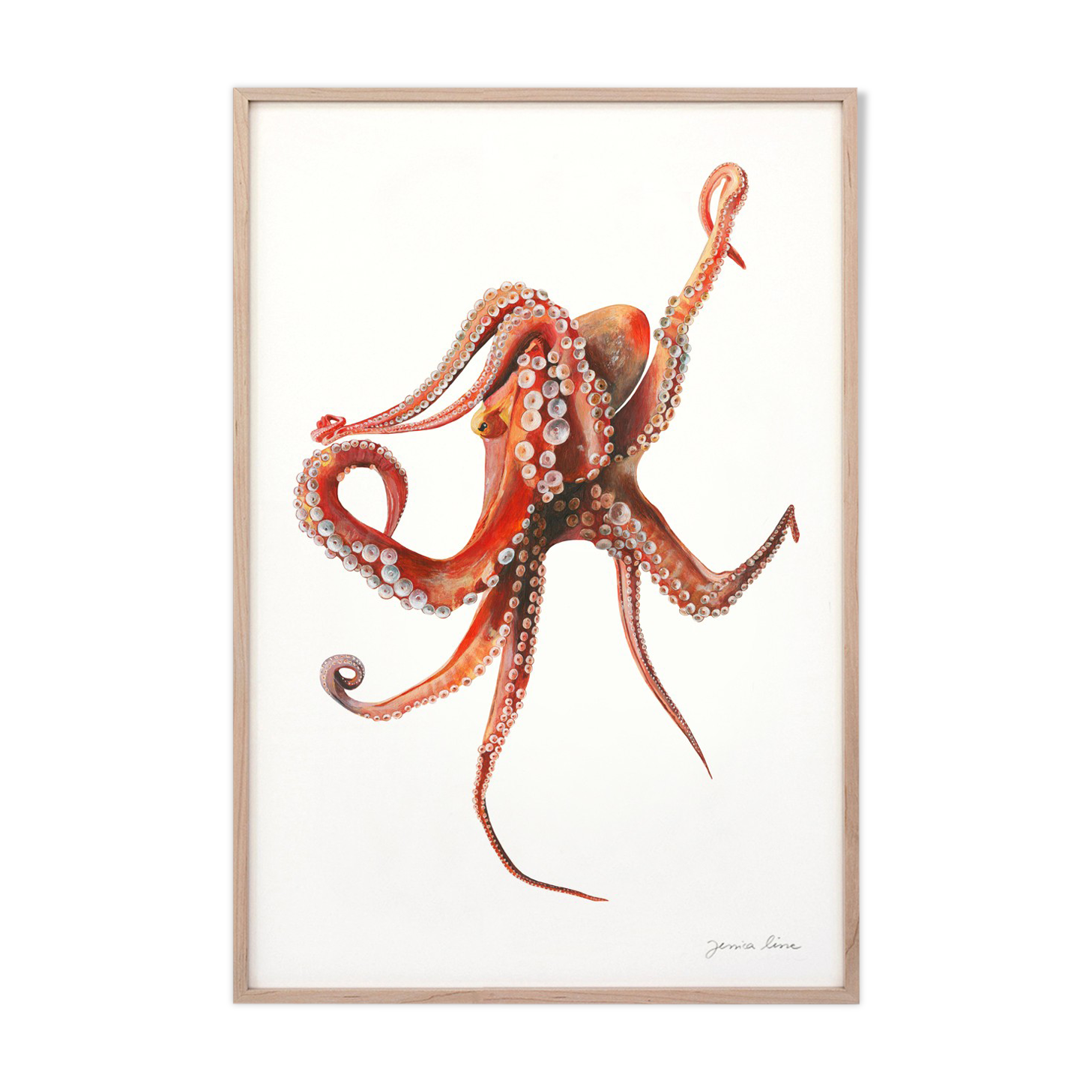 "Georgia", the octopus, art print 21/29.7 cm