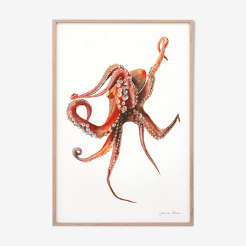 "Georgia", the octopus, art print 21/29.7 cm