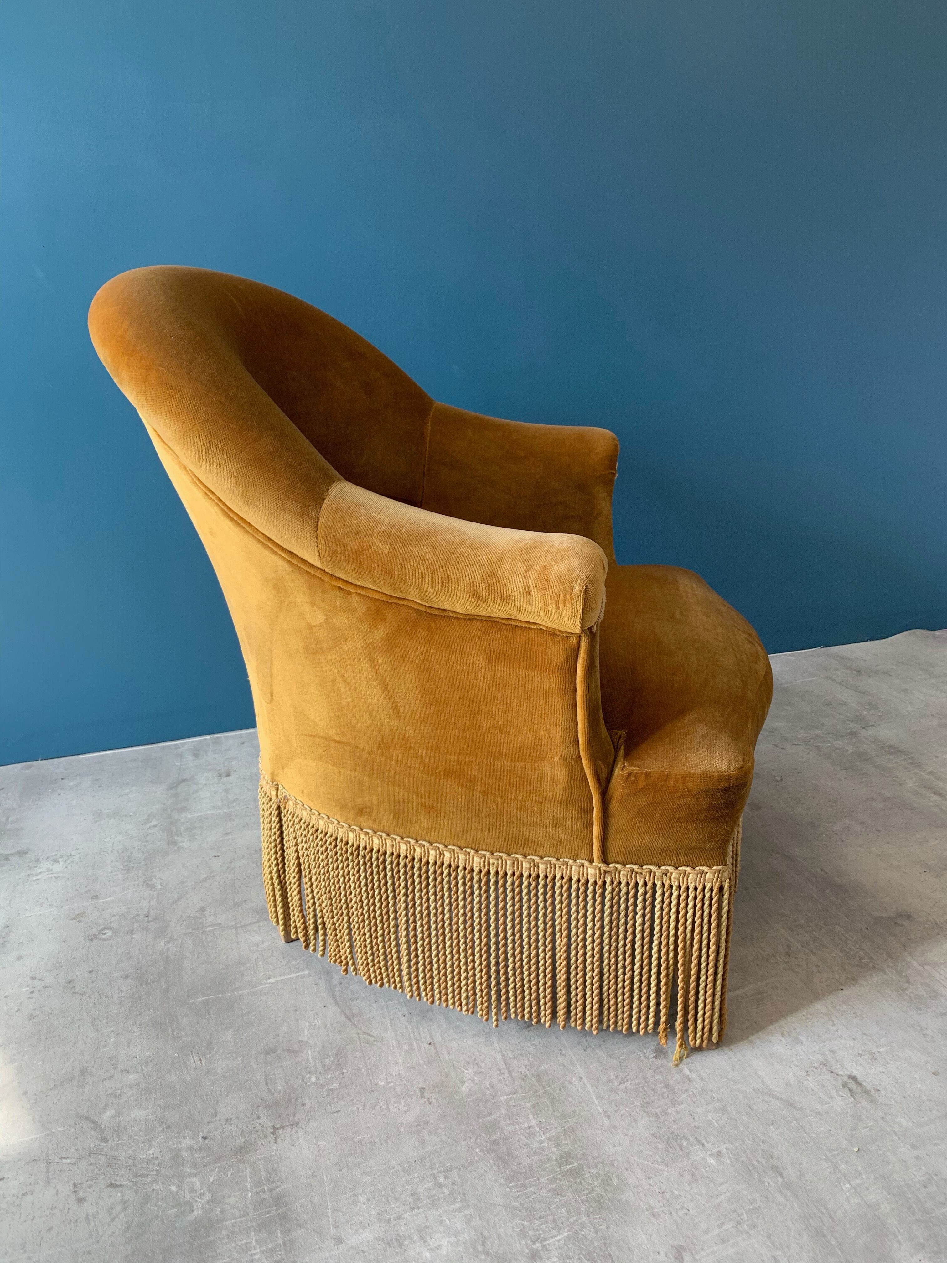 Old velvet toad old gold