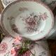 Deep dish in ironstone stamped Sarreguemines Fontanges model
