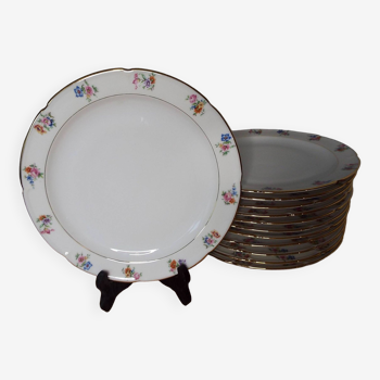 12 flowered porcelain dinner plates