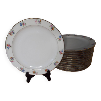 12 flowered porcelain dinner plates