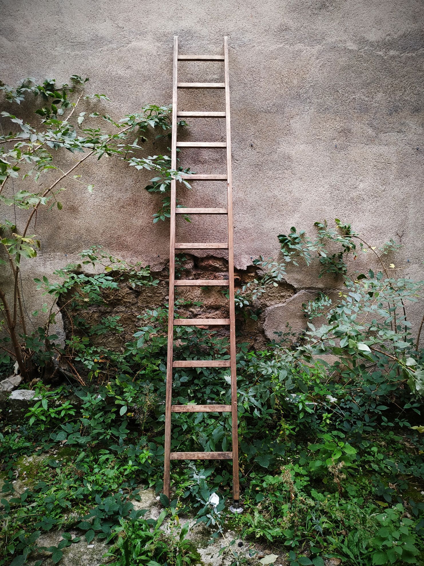 Old Cognet scale 321 cm