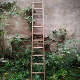 Ancienne échelle Cognet 321 cm