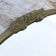 Art Deco mirror in gold metal - 39x23cm