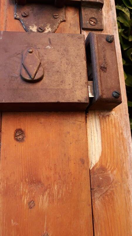 Front door and its frame, translucent glass windows, early 20th century