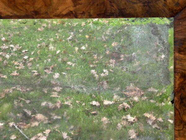 miroir ancien moulure loupe d'orme miroir fort dé-mercurisé en l'état