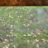 Antique mirror with elm burl molding, heavily demercurized, in its current condition