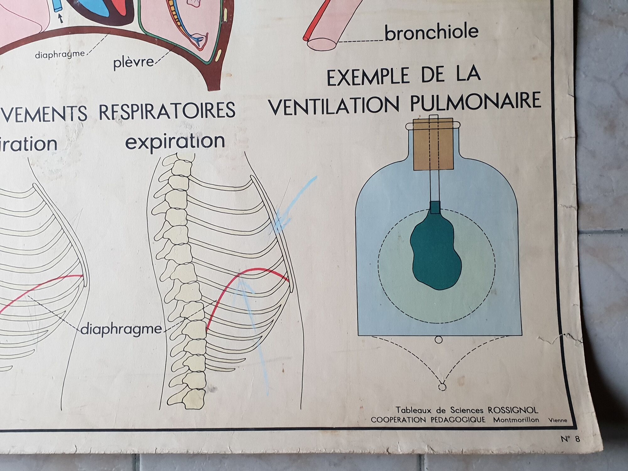 School poster Rossignol