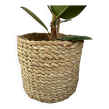 Cache pot