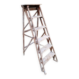 Antique wooden stepladder