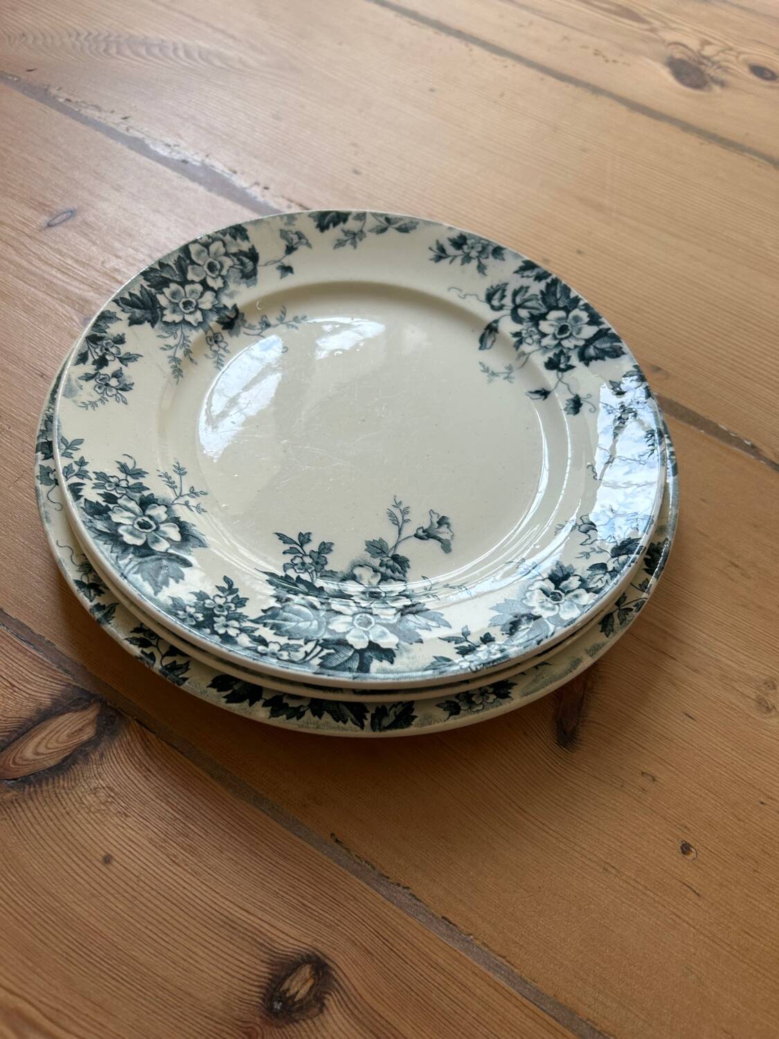 Series of 3 old flat plates “Terre de Fer”