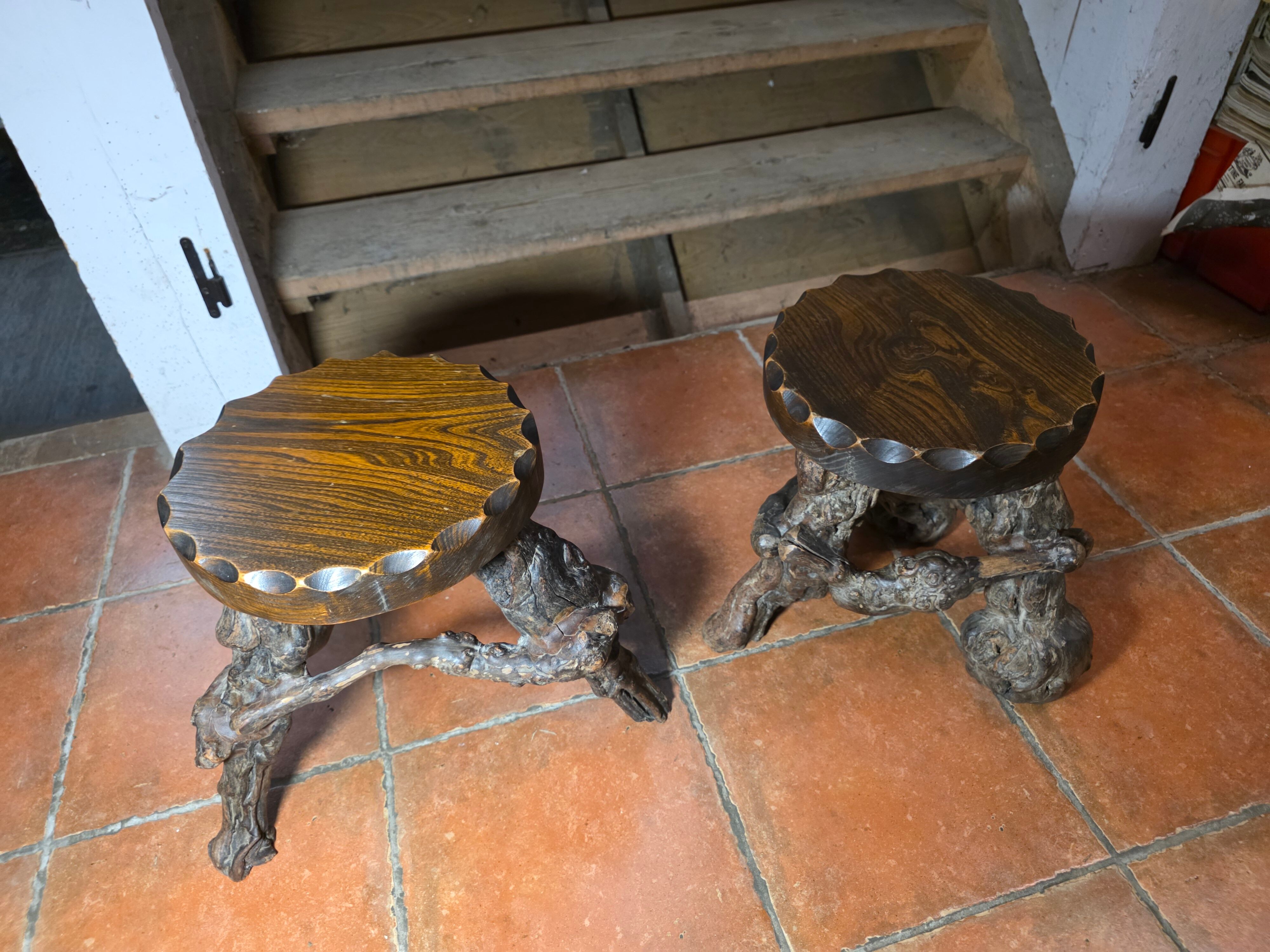 Pair of tripod stools with vine legs, oak top.
