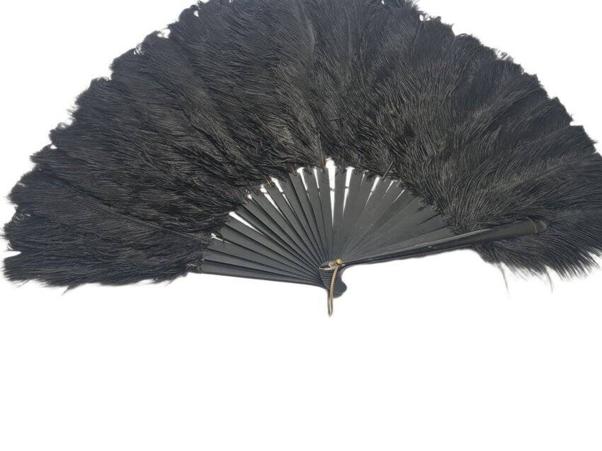 Art Deco Polish Austria feather fan, 1920s