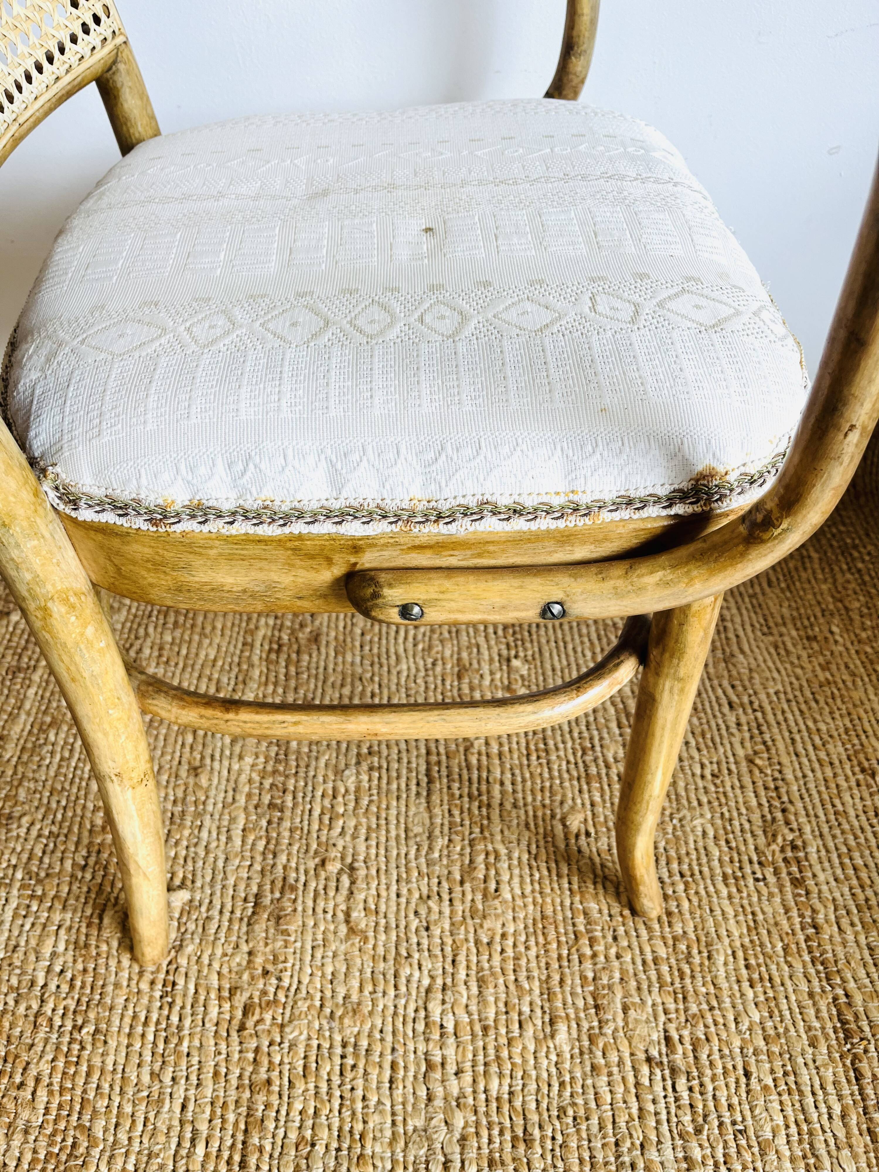 Josef Hoffmann for Thonet model 811 armchair in bentwood and cane