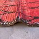 Red Boujad Moroccan rug - 95 x 235 cm