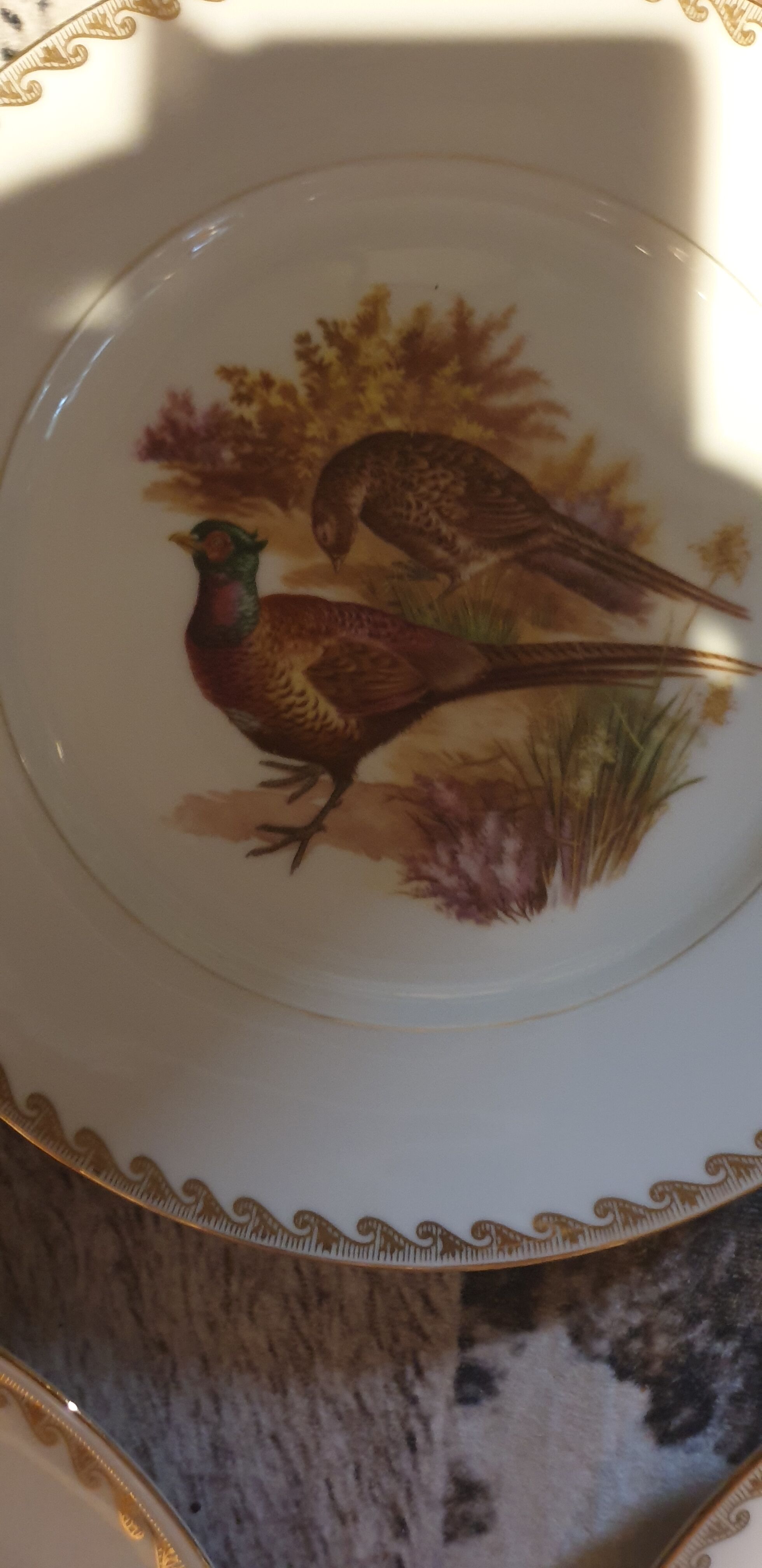 Lot de 24 assiettes plates scènes de gibiers