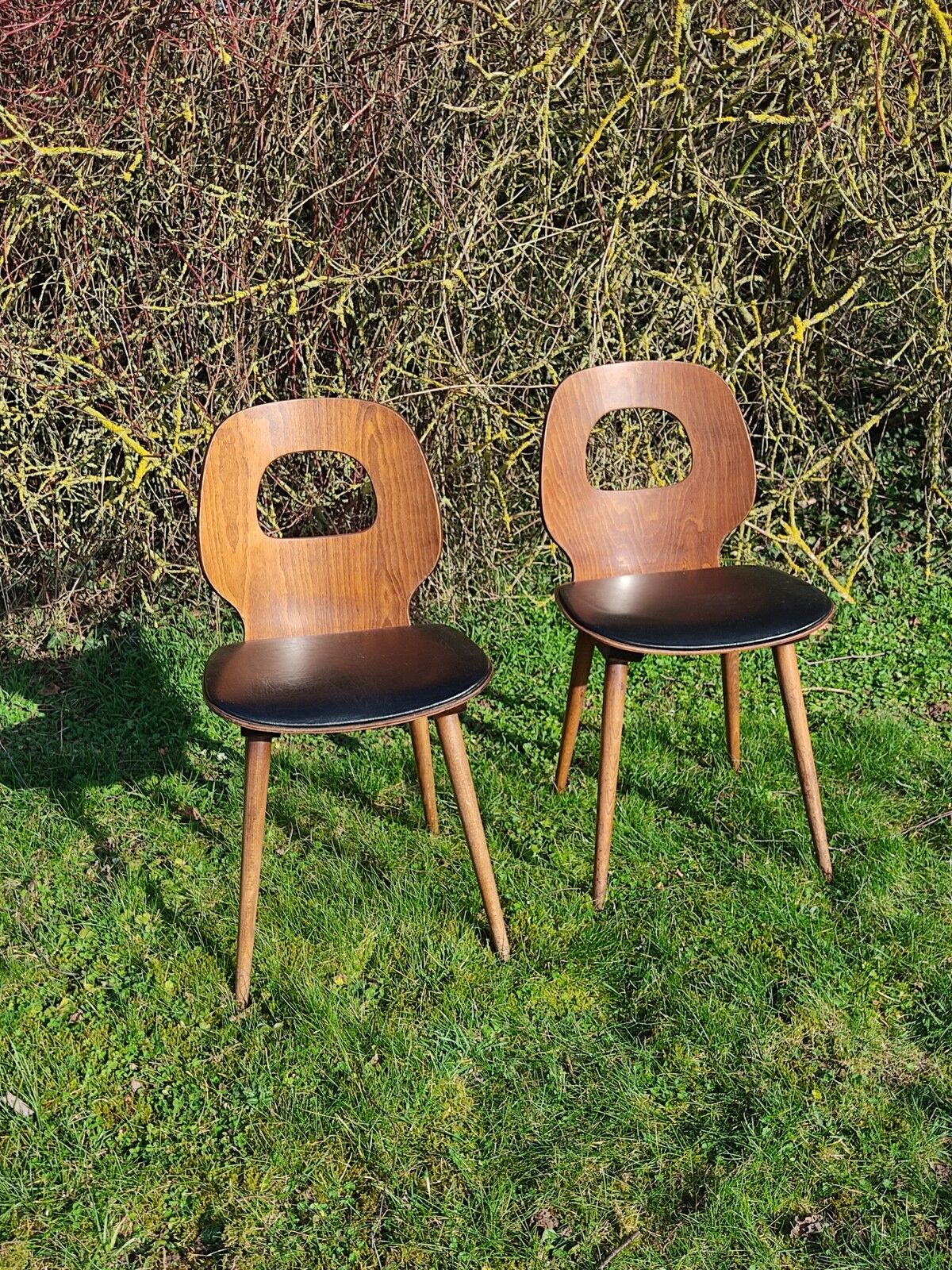 Baumann chairs x2 Ant model