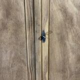 Parisian wardrobe in raw wood