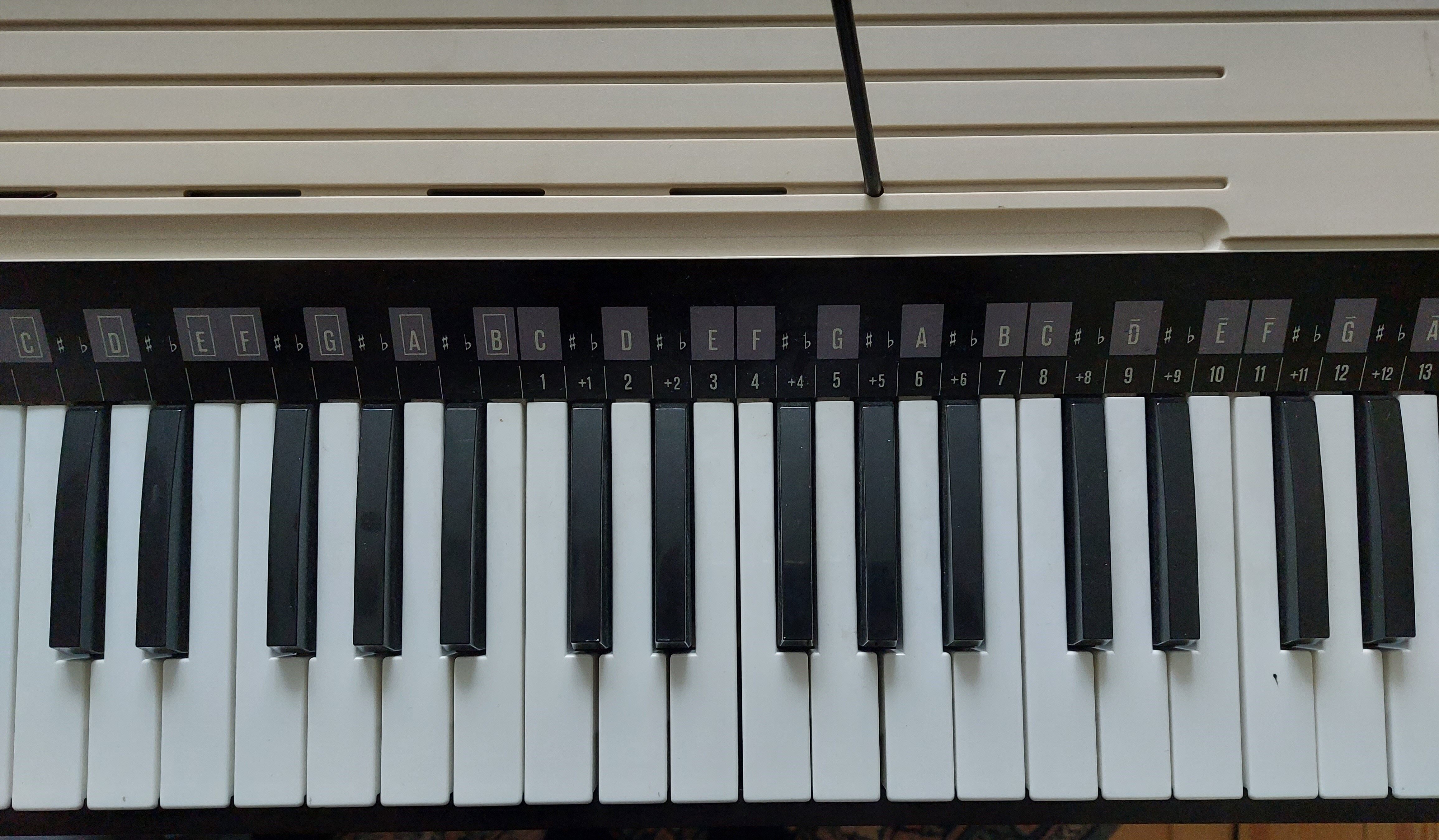 Bontempi organ