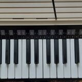 Bontempi organ