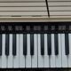 Bontempi organ