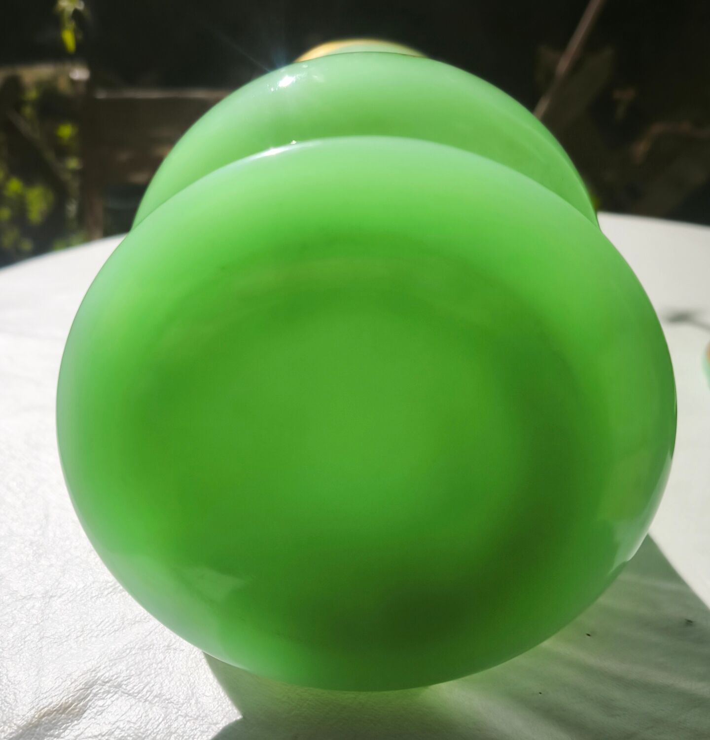 Opaline vase with palm tree decoration in gold (ouraline)