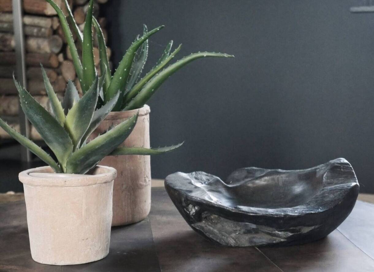 Bol, plat en bois brûlé wabi sabi