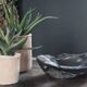 Bol, plat en bois brûlé wabi sabi