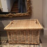 Wicker trunk