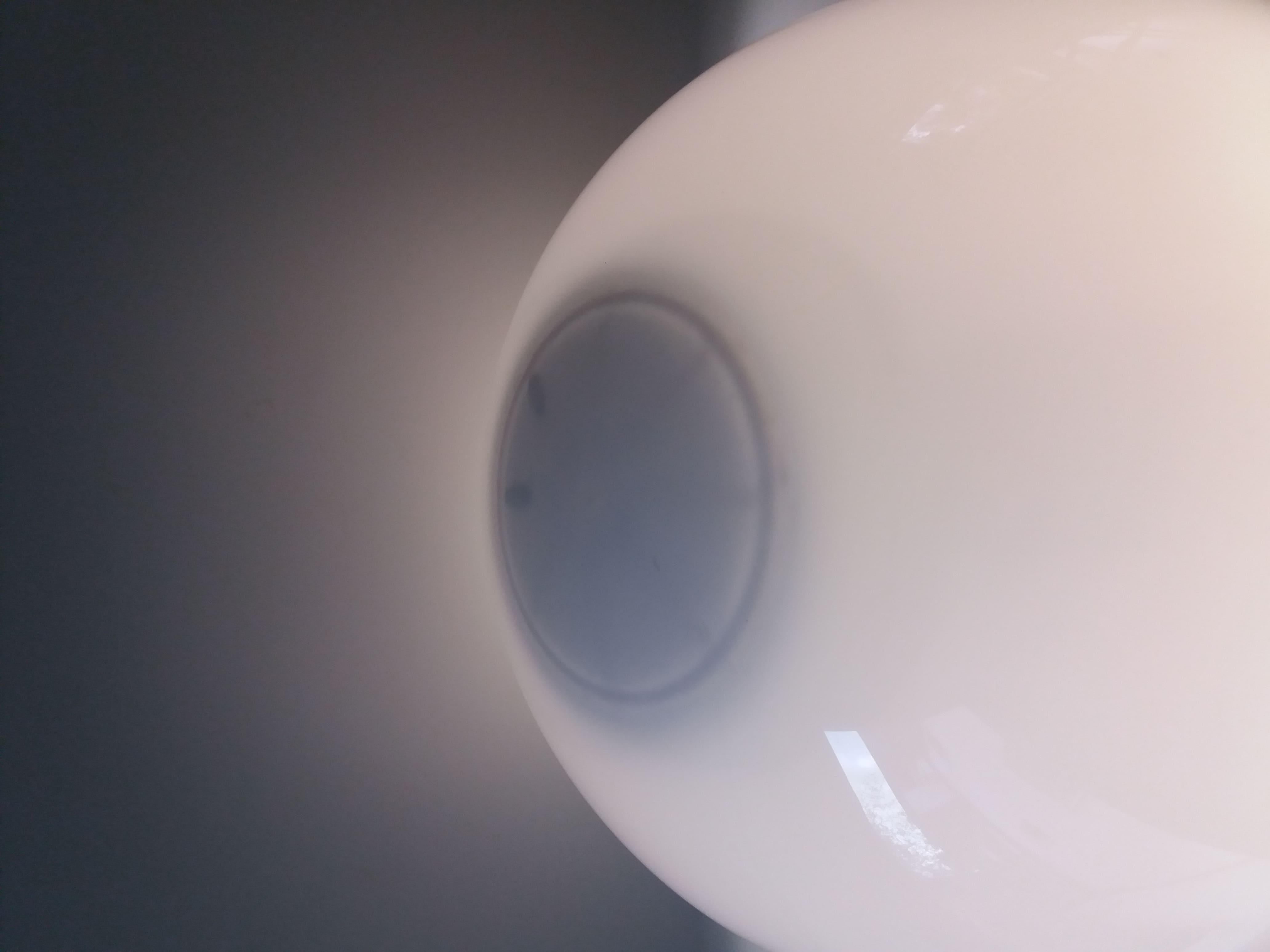 Lamp Guzzini baobab, 70 years