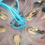 Florentine wall light or ceiling light by Banci Firenze, 1970s Maison Baguès.